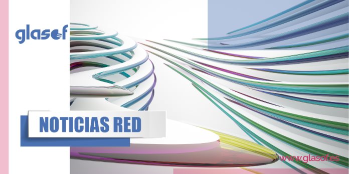 Boletín de Noticias Red 7/2025