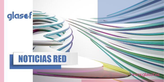 📢 Boletín de Noticias Red 06/2026